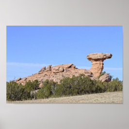 Camel Sten, New mexico Poster