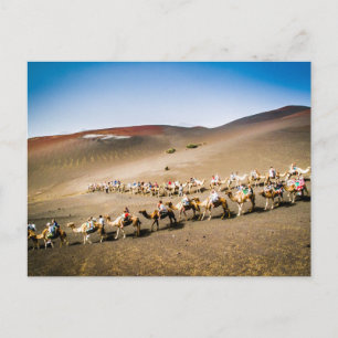 Camel Tåg i Lanzarote Vykort