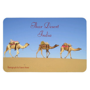Camel Tåg, Thar Desert Magnet
