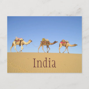 Camel Tåg, vykort för Thar Desert