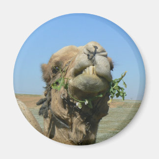 Camel-tuggblommor Magnet