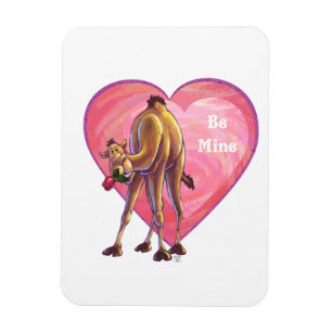 Camel Valentindagen Magnet