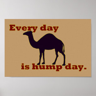 Camel "Varje dag är Hump Day" Poster
