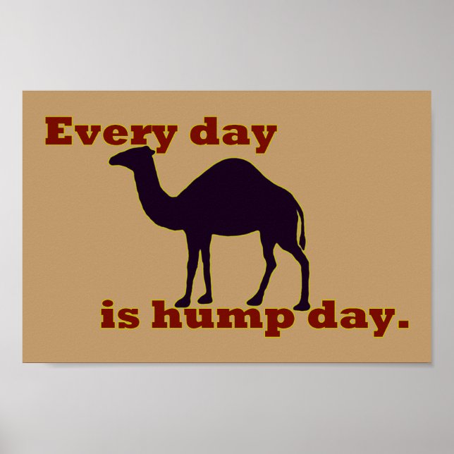 Camel "Varje dag är Hump Day" Poster (Framsidan)