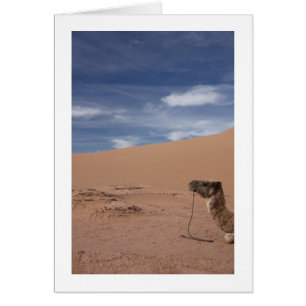 Camel vid Dunes Hälsningskort