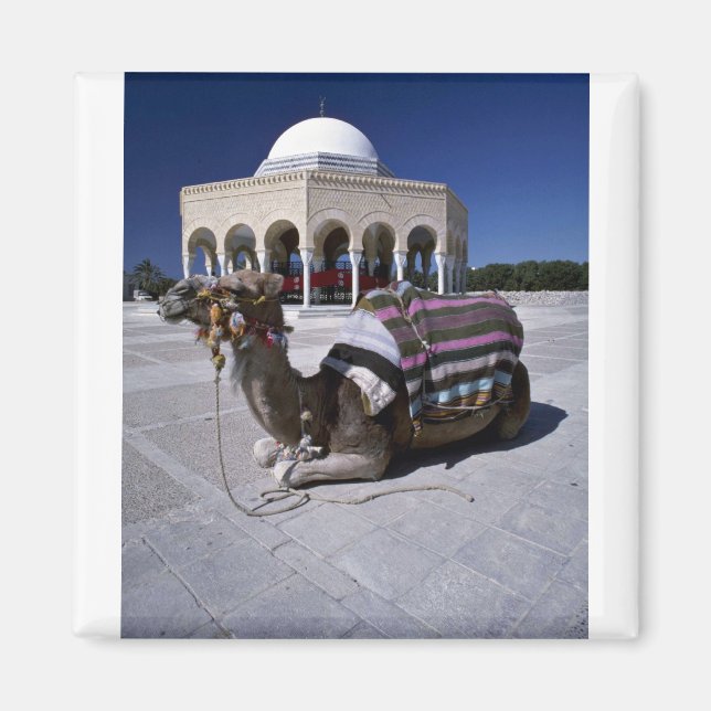 Camel vilande framför dome, Monastir, Tunisien Magnet (Framsidan)