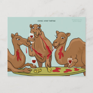 Camel Vin Taste-vykort Vykort