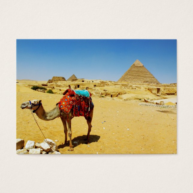 Camel Visitkort (Framsidan)