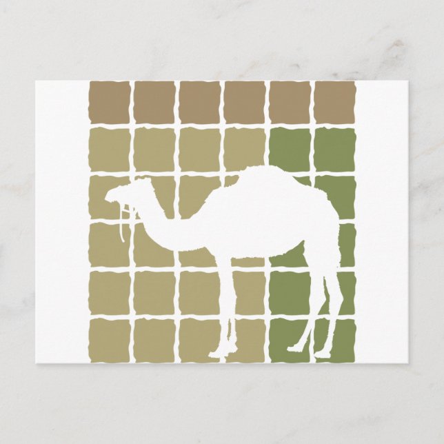 Camel Vykort (Framsida)