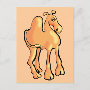 Camel Vykort