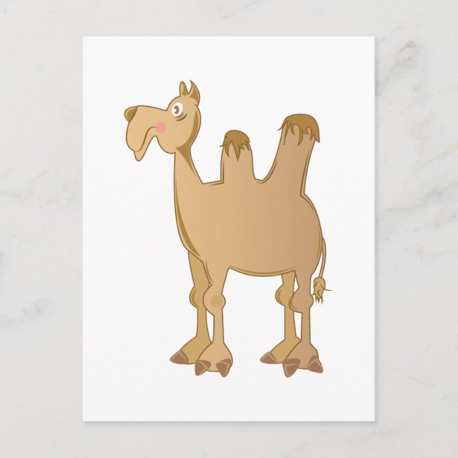 Camel Vykort (Framsida)