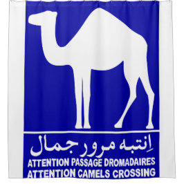 CAMEL X