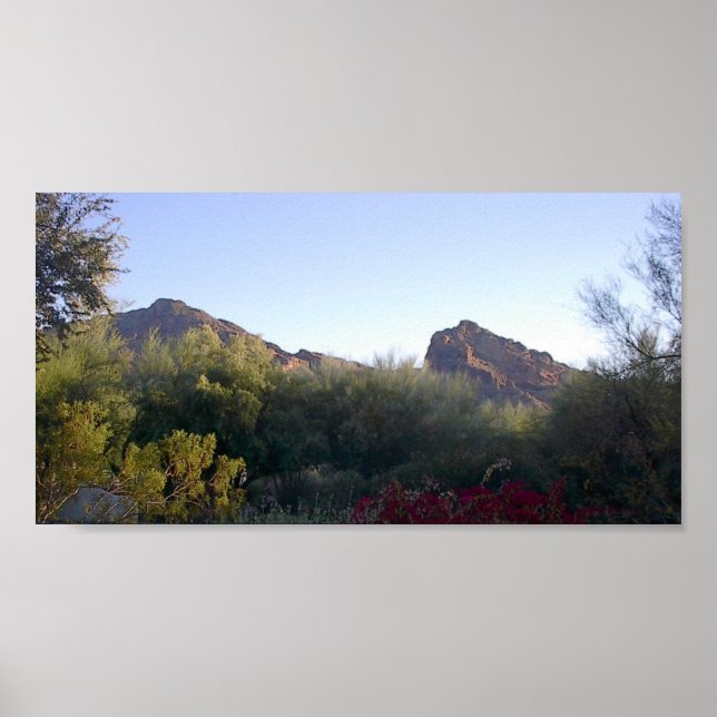 Camelback Mountain Poster (Framsidan)