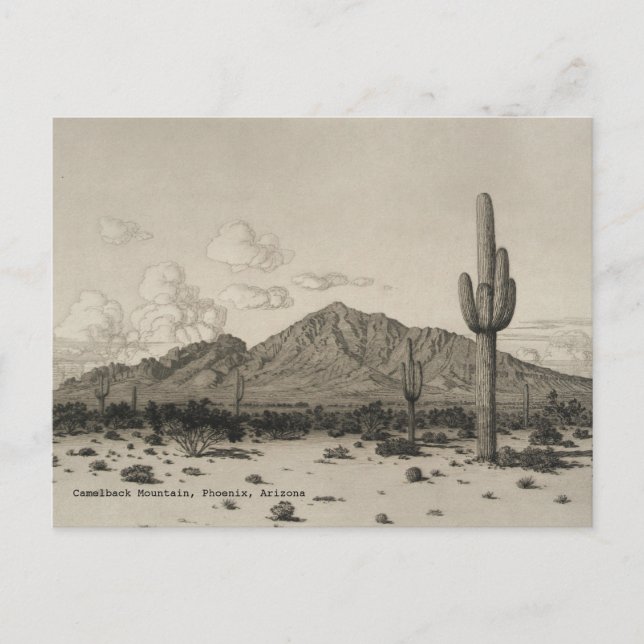 Camelback Mountain Saguaro Cactus Black & White Vykort (Framsida)