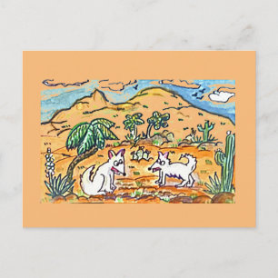 Camelback Mountain Vykort