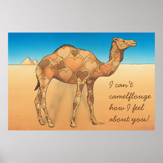 Camelflouge Poster (Framsidan)