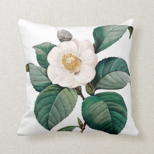 Camelia dubbel vintageblomma Redoute Kudde