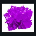 Camelia Pop Lila Poster<br><div class="desc">Färgfull kameliapopkonst.</div>
