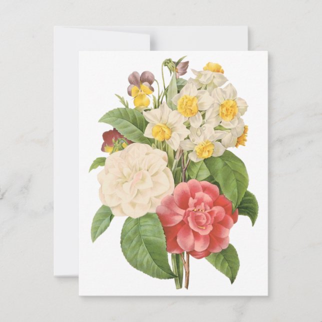 Camelias och Daffodils by Redoute Investigation (Framsida)