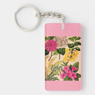 camelli, forsytin, rhododendron och acacia