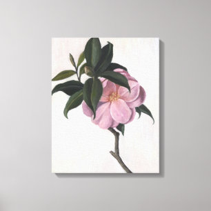 Camellia 1998 canvastryck