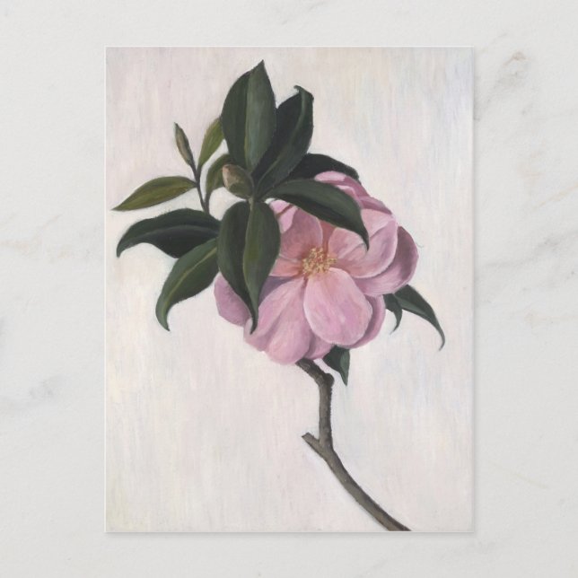 Camellia 1998 vykort (Framsida)