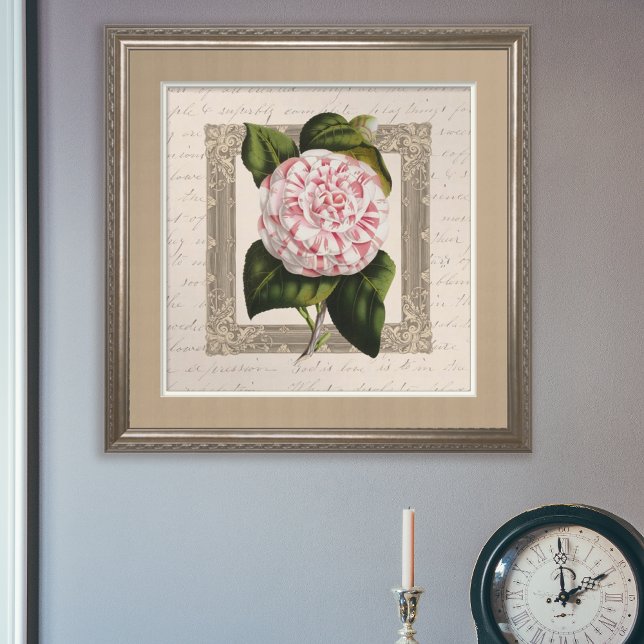 Camellia Chateau Chic Vintage Botanical Poster (Skapare uppladdad)