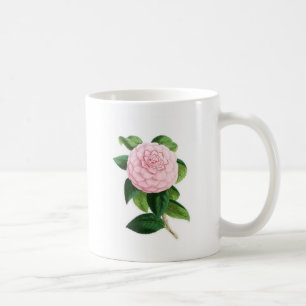 Camellia Duchesse De Nassau Kaffemugg