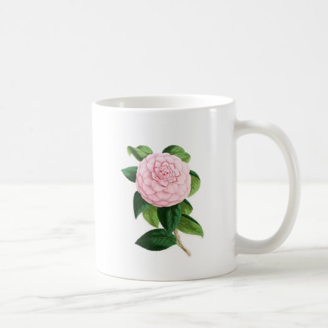 Camellia Duchesse De Nassau Kaffemugg (Höger)