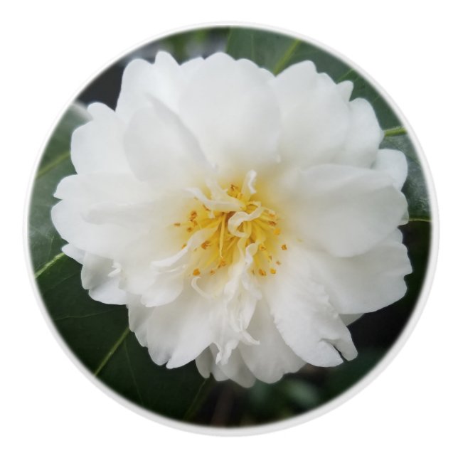 Camellia Flower Round Knopp (Framsidan)