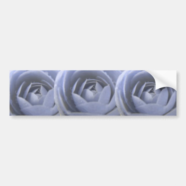 Camellia Frozen Beauty Bumper Sticker Bildekal (Framsidan)