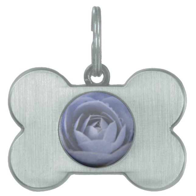 Camellia Frozen Beauty Pet Tag ID-bricka Husdjur (Framsidan)