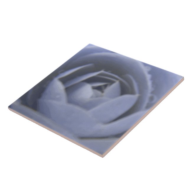 Camellia Frozen Beauty Tile Kakelplatta (Sidan)