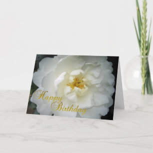 Camellia Grattis på födelsedagen Kort