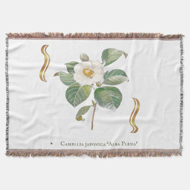 Camellia japonica 'Alba Plena'  Filt (Framsidan)