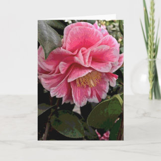 Camellia Kort