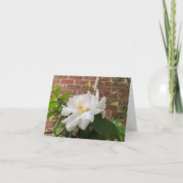 Camellia-kort (tomt) helgkort