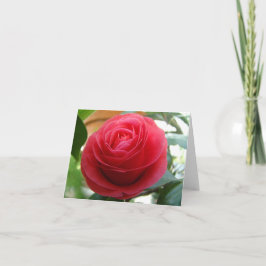 Camellia Notecard Kort
