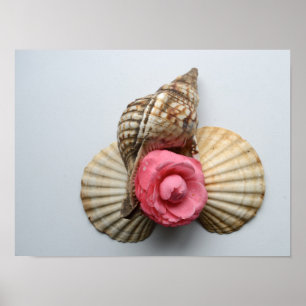 Camellia och Snäckorna Poster
