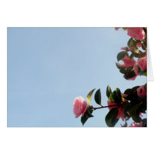 Camellia Rosa Flower Blå himmel Hälsningskort