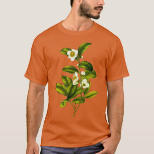 Camellia Sinensis botanical Tea Plant Illustration T Shirt