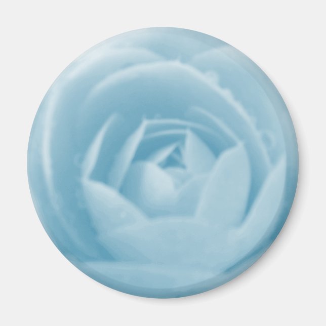 Camellia Whirlpool Magnet (Framsidan)