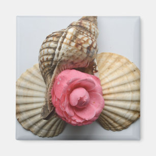 Camelliaen och snäckorna magnet