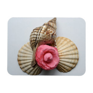 Camelliaen och snäckorna magnet