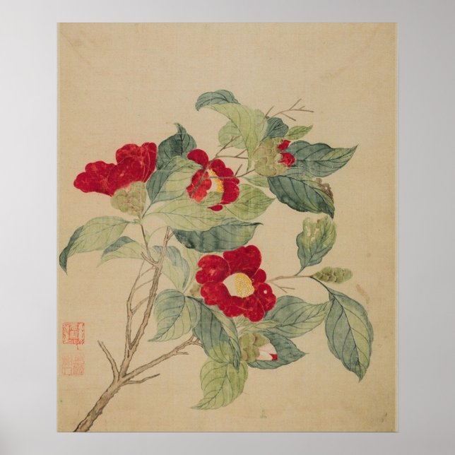 Camellias efter Morsa Yuanyu Poster Skriv ut (Framsidan)