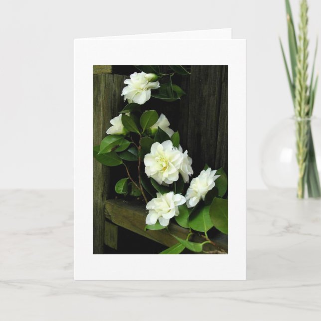 CAMELLIAS KORT (Framsida)