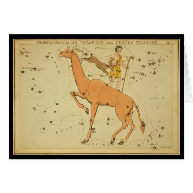 Camelopardalis, Tarandus och Custos Messium Hälsningskort (Framsidan Horizontal)