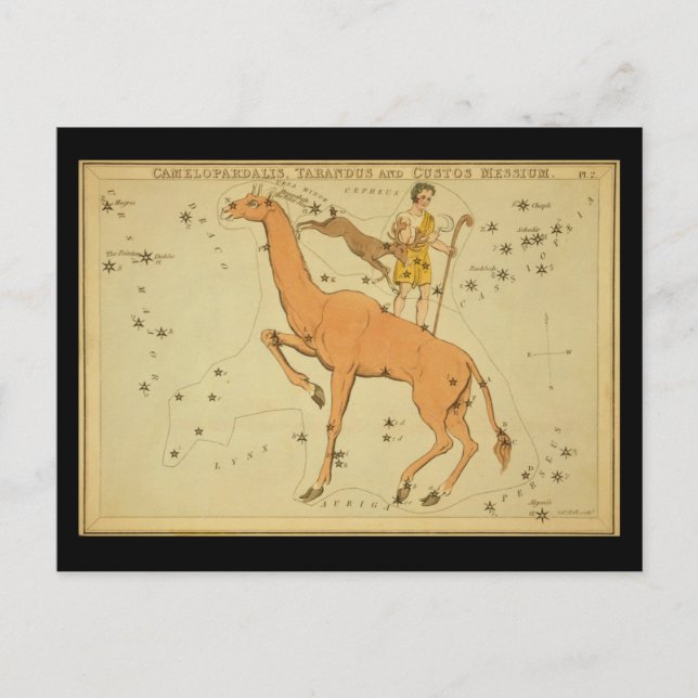 Camelopardalis, Tarandus och Custos Messium Vykort (Framsida)