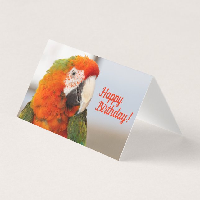 Camelot Macaw Grattis på födelsedagen-kort Kort (Framsida)