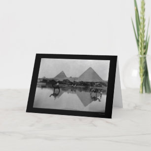 Camels and Pyramids in Egypten 1899 Kort